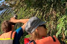 Canoe tour