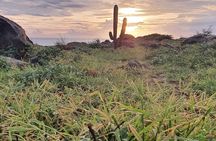 Private Sunrise Hike & Guided Beach Meditation at North Aruba