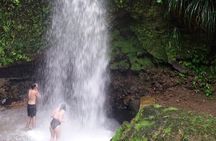 Sulphur Springs Mud Bath and Toraille Waterfall Tour with Creole Lunch