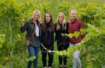 Owners vineyard tour and tasting at Oastbrook