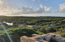 Spanish Lagoon Mangrove Trail & Bird Watching