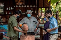 Sloths Observation and Coffee, Chocolate, Sugarcane Experience