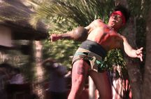 Ancestral Mayan Private Culinary Experience in Merida