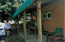 Trekking Knuckles Mountain Range Excursion (4 Days, 3 Nights)