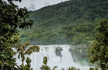 Athirapally Waterfalls from Cochin