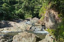 Half-Day River Adventure in El Yunque with a Local 