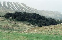 Private Tour: Cedars of Lebanon, Kozhaya and Besharreh Day Trip from Beirut