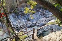 Magical Hot Springs Women´s 5-Day Retreat