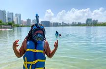 Snorkeling Guided Tour Experience in Condado Lagoon