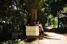 Private Full-Day Hike to Dois Rios from Vila do Abraão