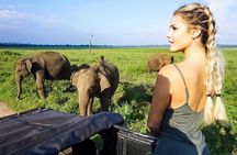 Wildlife and Nature Tour (18 Days , 17 Nights)