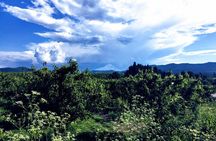 Private Tour at The Hood-Columbia Loop: Timberline, Orchards, and Waterfalls