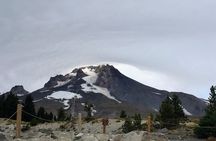 Private Tour at The Hood-Columbia Loop: Timberline, Orchards, and Waterfalls