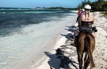 Horseback Riding , Blue Hole And Lunch from Ocho Rios