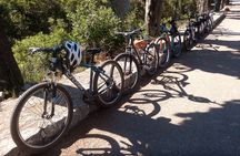Half-Day Bike Tour in Lumbarda with Wine Tasting