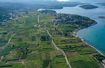 Half-Day Bike Tour in Lumbarda with Wine Tasting