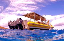 Molokini Crater Zodiac Adventure: Snorkel and Turtle Cove Swim 