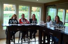 Visit Niagara Falls and experience a VIP Wine Tour