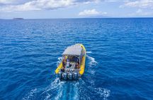 Charter Maui 3 Hour Snorkel to Coral Gardens or Molokini