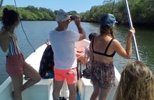 Tamarindo River Boat Tour