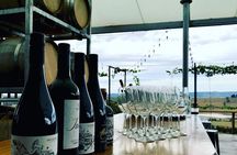 Chocolate and wine tasting tour in the Yarra Valley. 