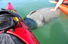 Tropical Kayak Tour