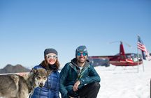 Helicopter Glacier Dogsled Tour