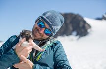 Helicopter Glacier Dogsled Tour