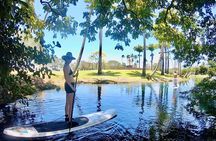 Historic Hilo Bay & Coconut Island SUP Adventure