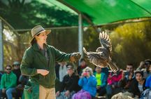 Full Day Kangaroo Island Sip and See Tour departing from Kangaroo Island