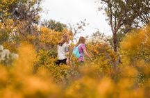 Yanchep Ultimate Adventure Guided Hike Tour