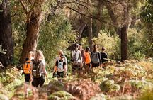 Yanchep Ultimate Adventure Guided Hike Tour