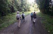 Corcovado Los Planes Birding Tour