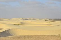 Boa Vista Tour: Santa Mónica, Desert & Shipwreck 