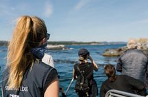 Victoria Whale Watch Tour