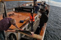 Taste of Lofoten Cultural Fishing Experience from Svolvær