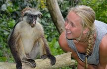 Private Tour to Jozani Forest Reserve Half-Day Guided Tour from Zanzibar