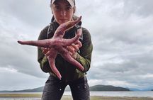 Ketchikan Electric Bike and Rain Forest Hike Ecotour