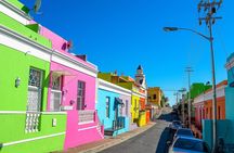 Table Mountain, Penguins Colony and Cape of Good Hope Small Group Shared Tour