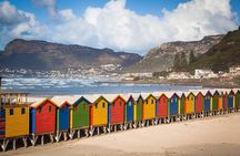 Cape Of Good Hope and Penguins Full Day Small Group Tour from Cape Town