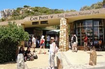 Cape Of Good Hope and Penguins Full Day Small Group Tour from Cape Town
