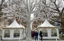 Meissen and Dresden Christmas Market Full Day Private Tour from Prague