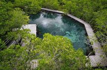 Boat Tour of Three Islands in Holbox with Transportation