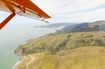 San Francisco 1-Hour Seaplane Tour with Shuttle Transport