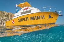 2 Tank Tour in Cabo San Lucas Reserve, Certified Divers with MANTA