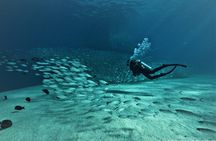 3 Tank Combo Cabo Reserve & Corridor, Certified Divers with MANTA