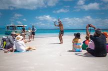 Turtle Discovery & Great Sandy Marine Park Adventure