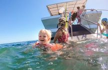 Turtle Discovery & Great Sandy Marine Park Adventure