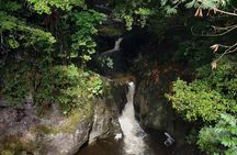 Full-Circle "Reverse" - Luxury Road to Hana Tour from South Maui