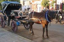 Private Sound and Light Show and Luxor City Tour by Carriage (3 * 1)